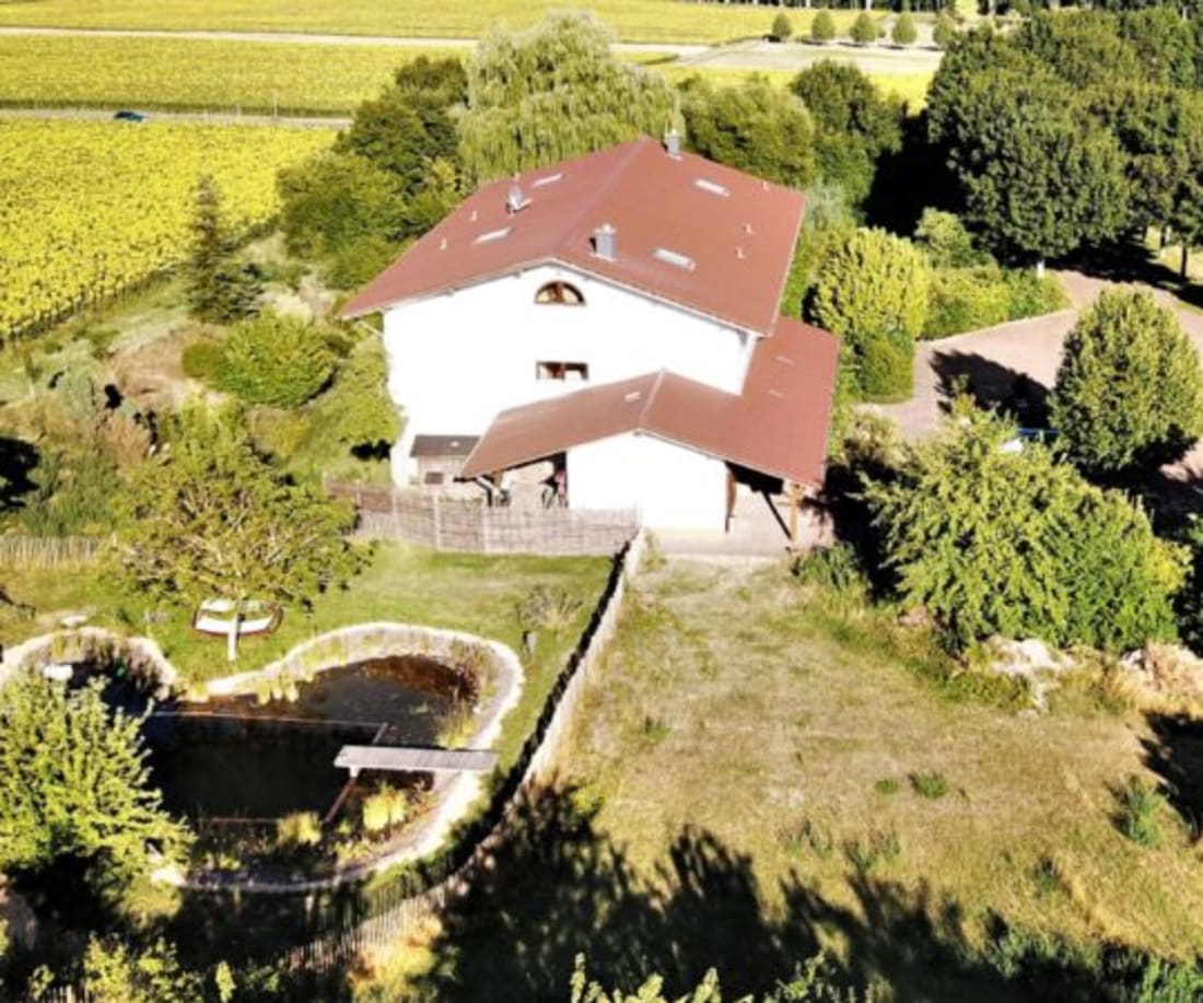 BioWeingut & Landhotel Gänz