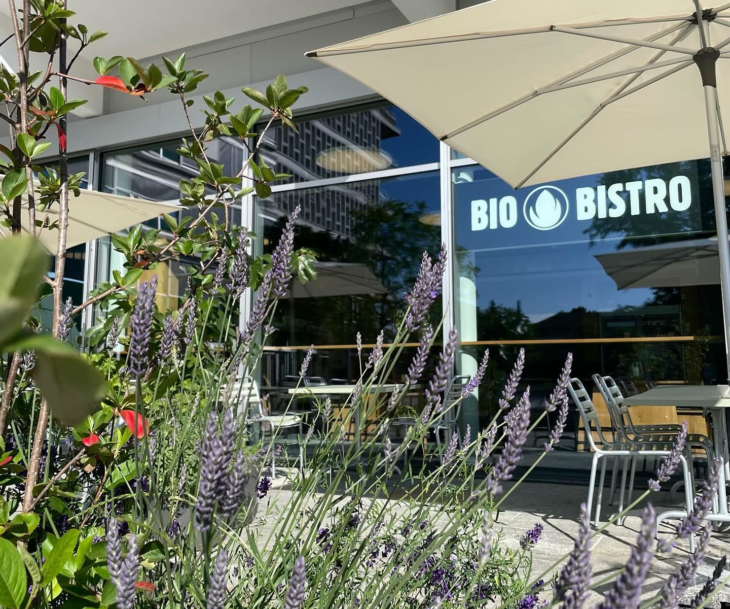 Bio Bistro im Westfeld