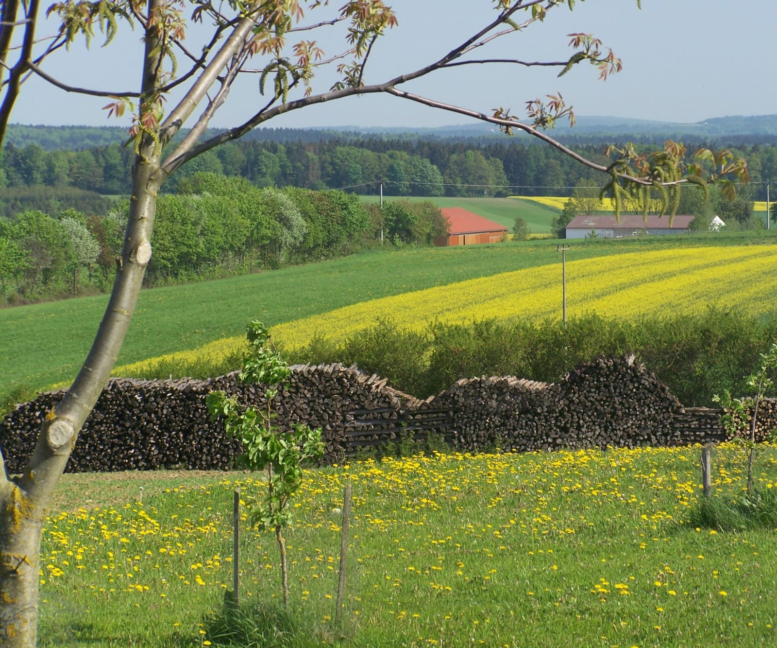 Restaurant Beckerwirt - Böhmfeld