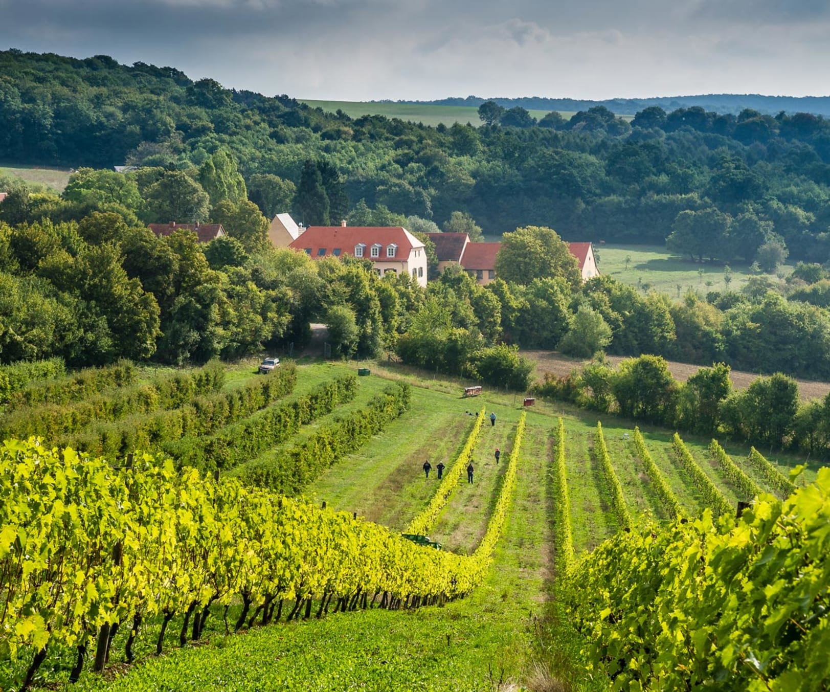 Landgasthaus Wintringer Hof