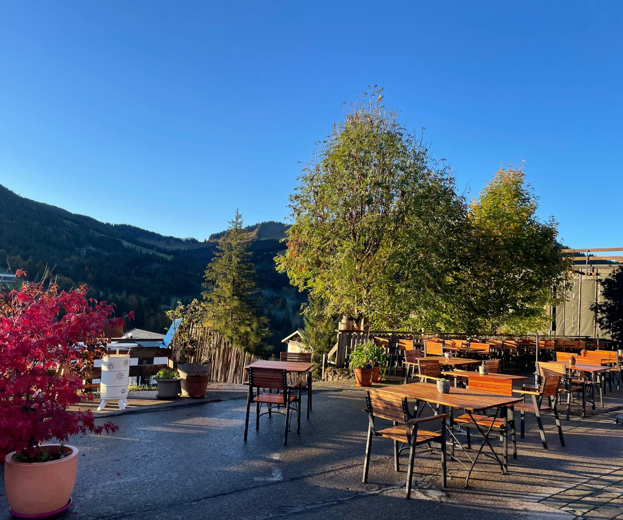 Restaurant at Bio-Berghotel Ifenblick