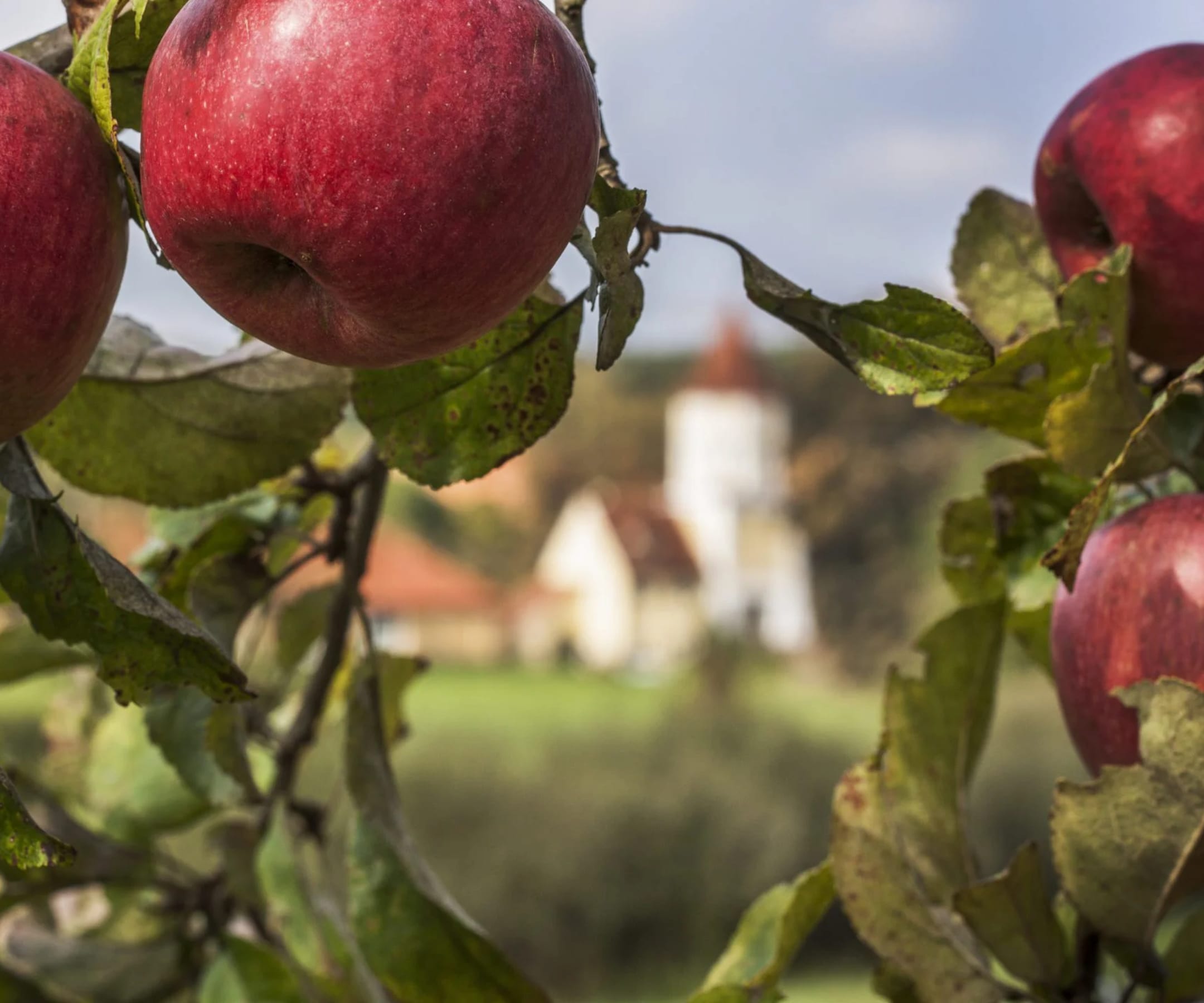 Schloss Blumenthal Hofladen