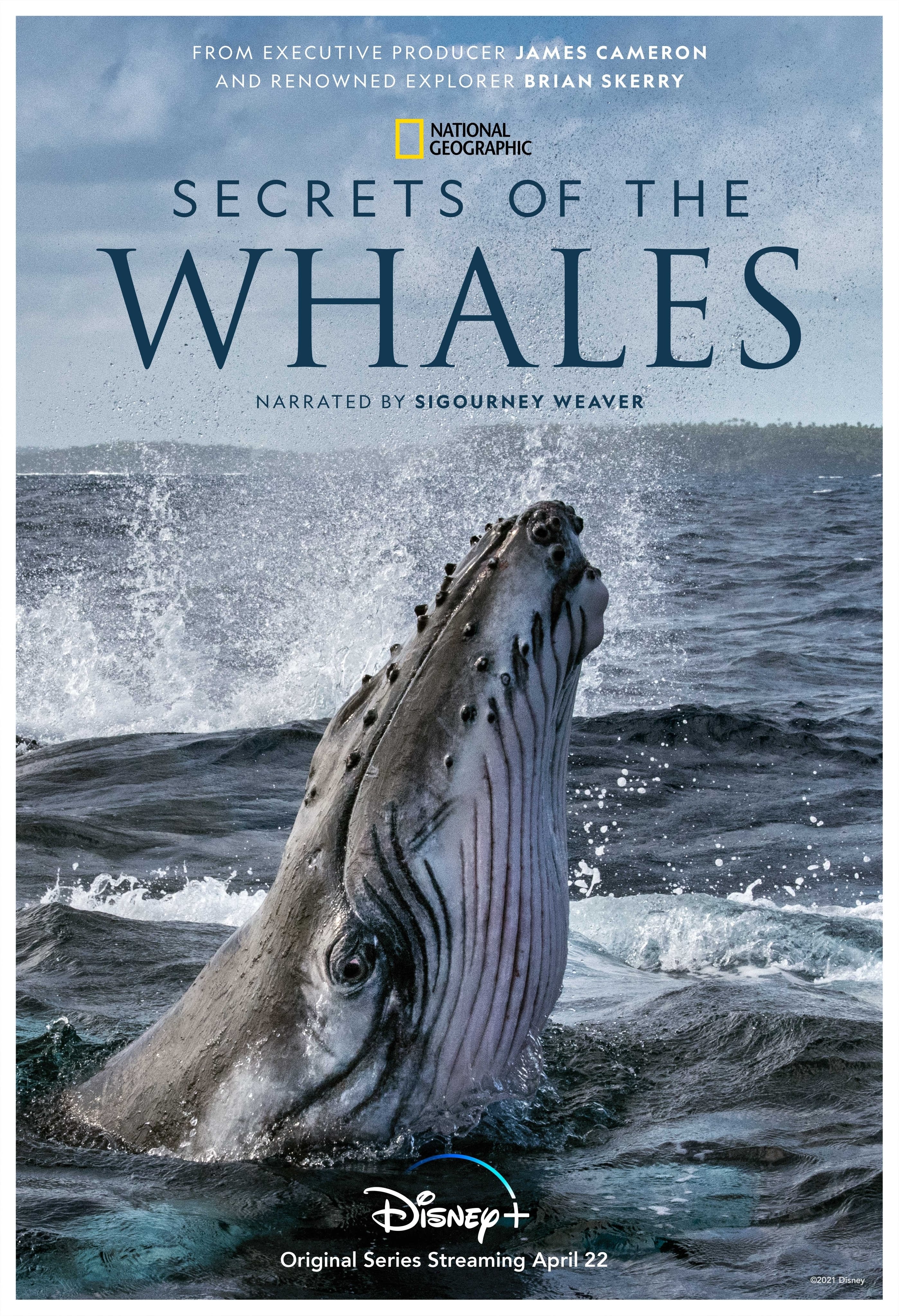 Secrets of the Whales (2021)