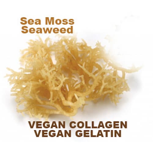 Sea Moss Collagen – Markus Wild Force