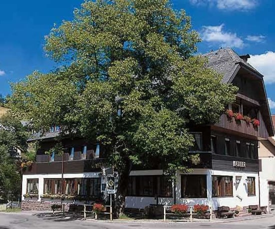 Bio-Hotel Adler