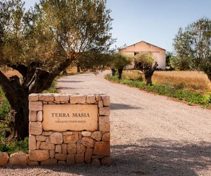 Terra Masia