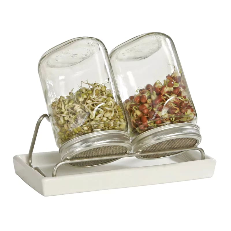 Eschenfelder Sprout jar