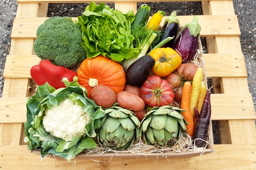 Organic Vegetable Box "Querbeet" Large 