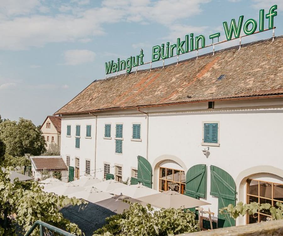 Hofgut Ruppertsberg - Restaurant