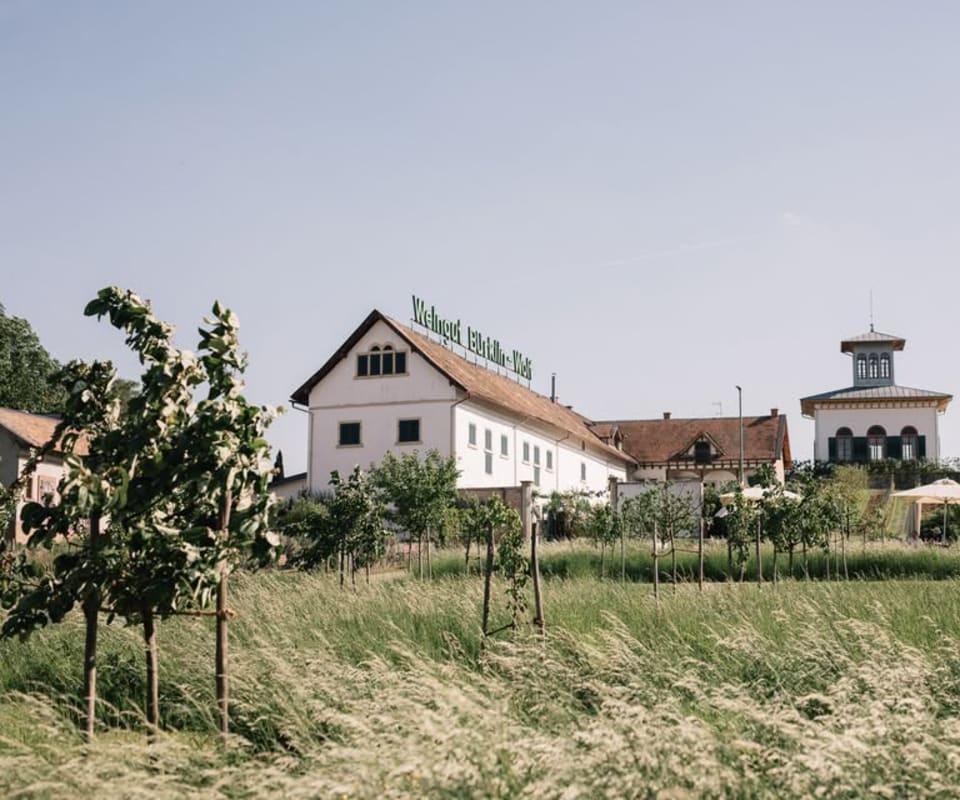 Hofgut Ruppertsberg - Hofladen